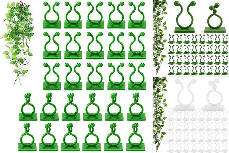 Detailed view of Best Glass Wall Clips For Indoor Outdoors