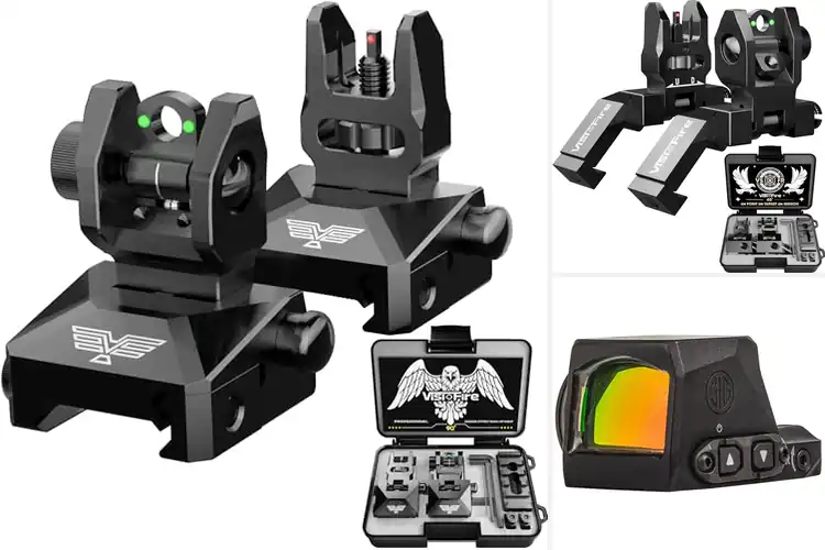 Detailed view of Best Rugged Sights